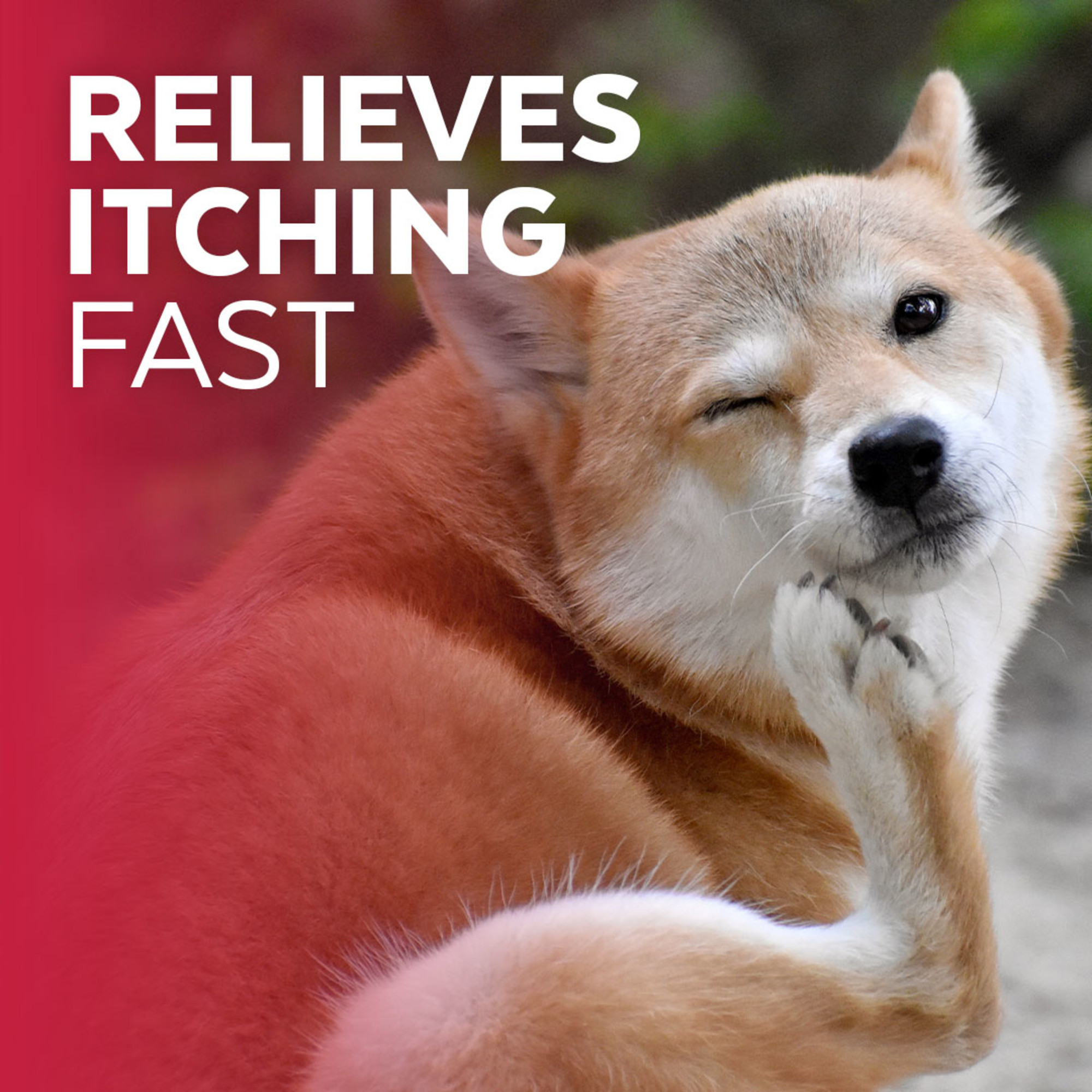 Clinical Anti-Itch Remedy for Pets