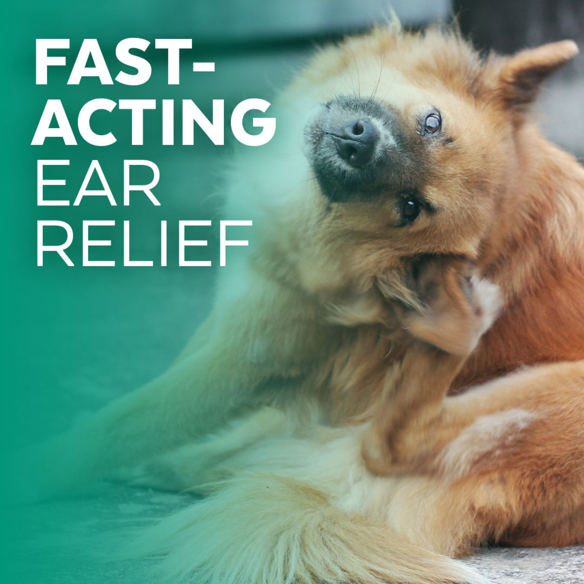 Ear Cleaner for Pets