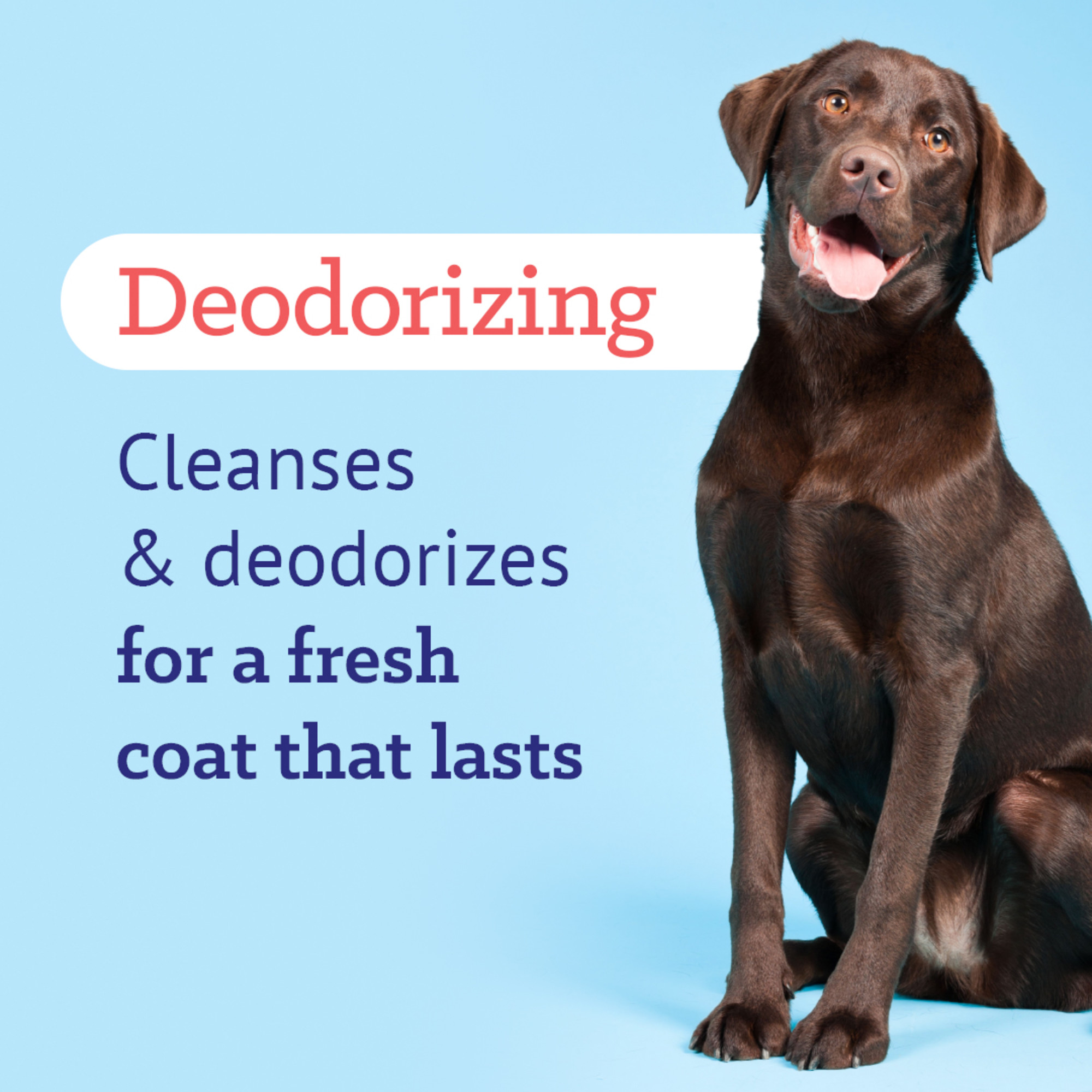 Odor Control Refreshing Shampoo for Pets