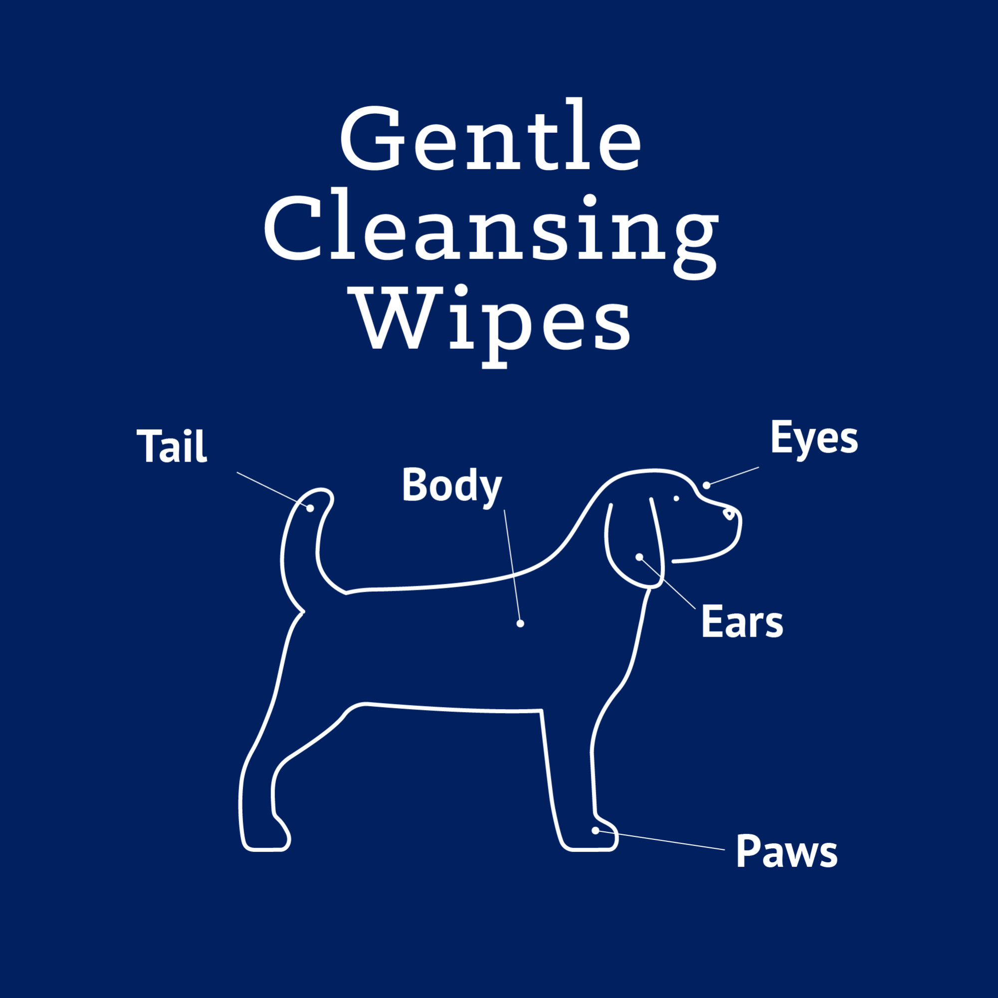 All-Purpose Pet Wipes