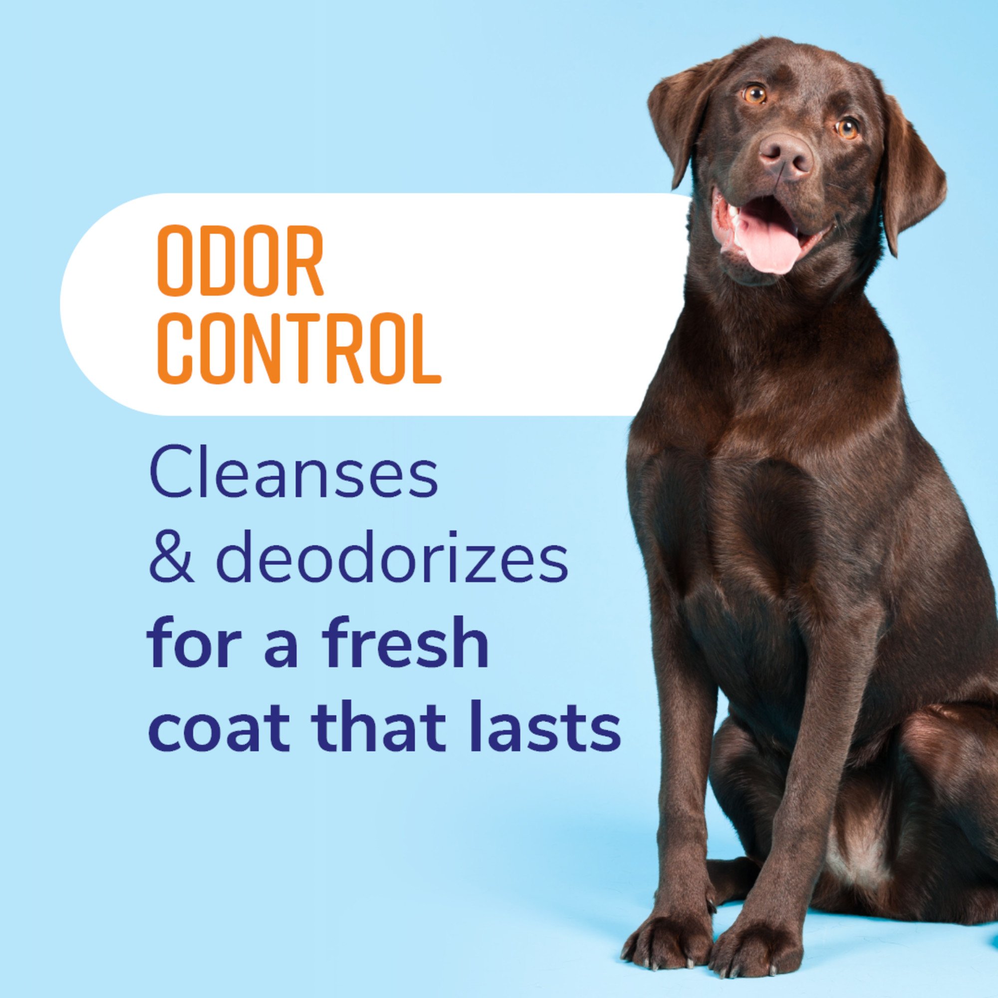 Odor Control Refreshing Shampoo for Pets