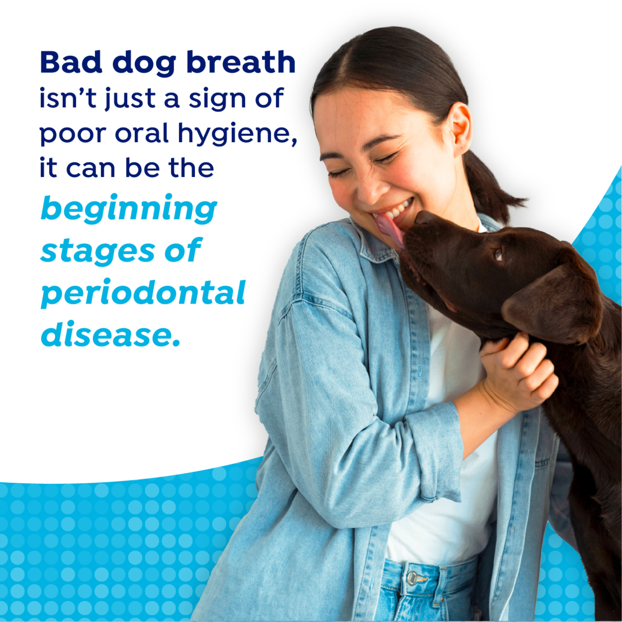 Dental Health Solution for Dogs