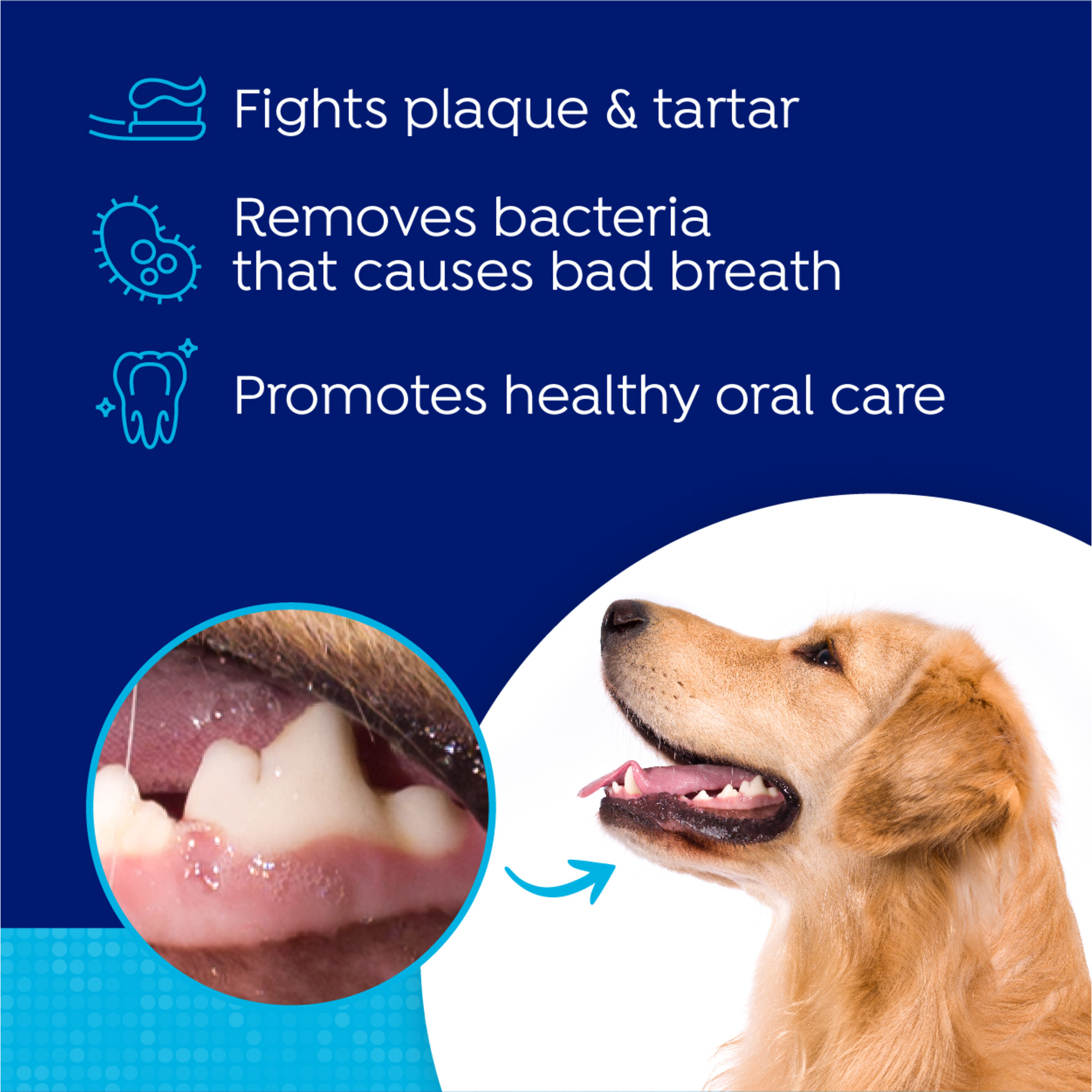 Dental Health Solution for Dogs