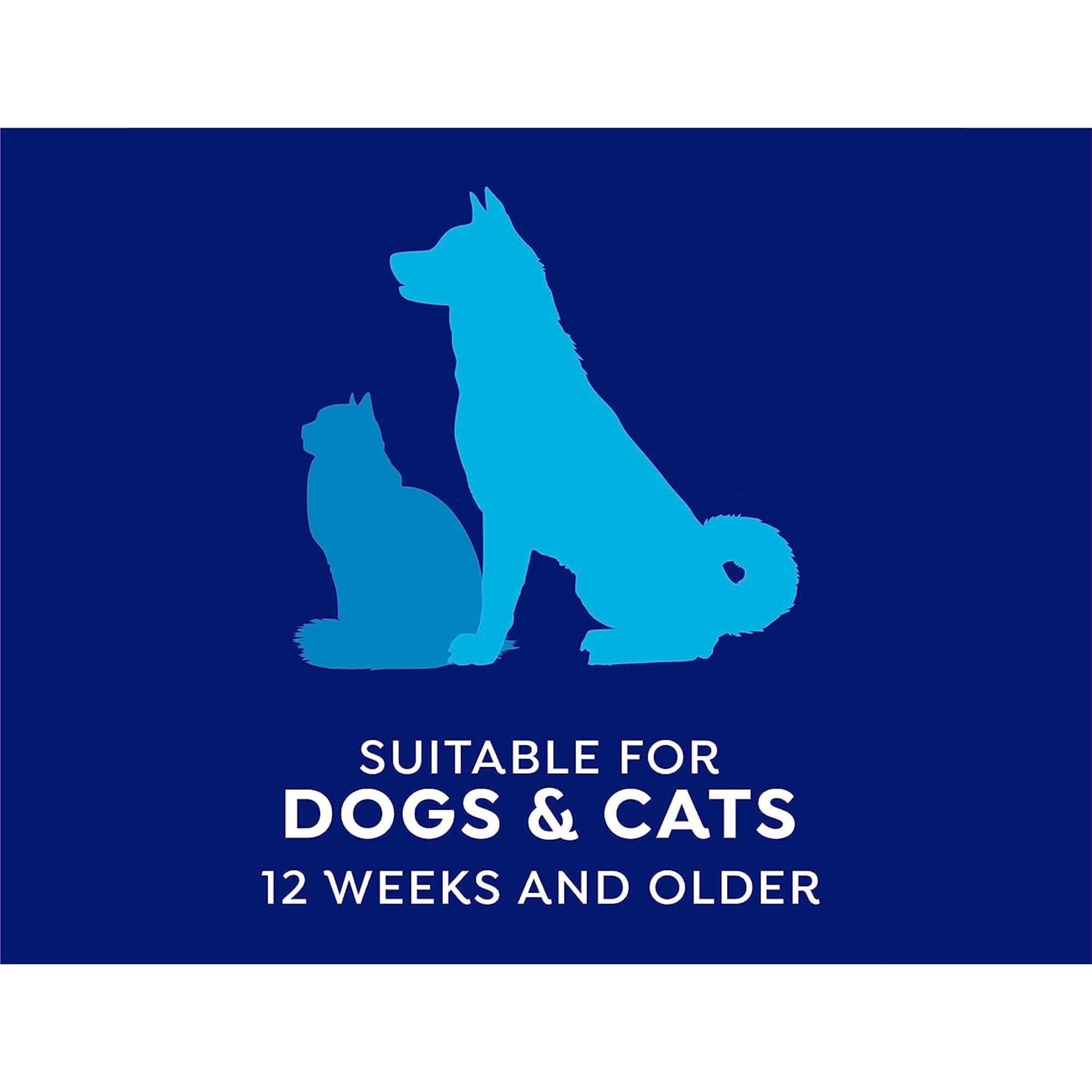 Oral Care Spray for Pets