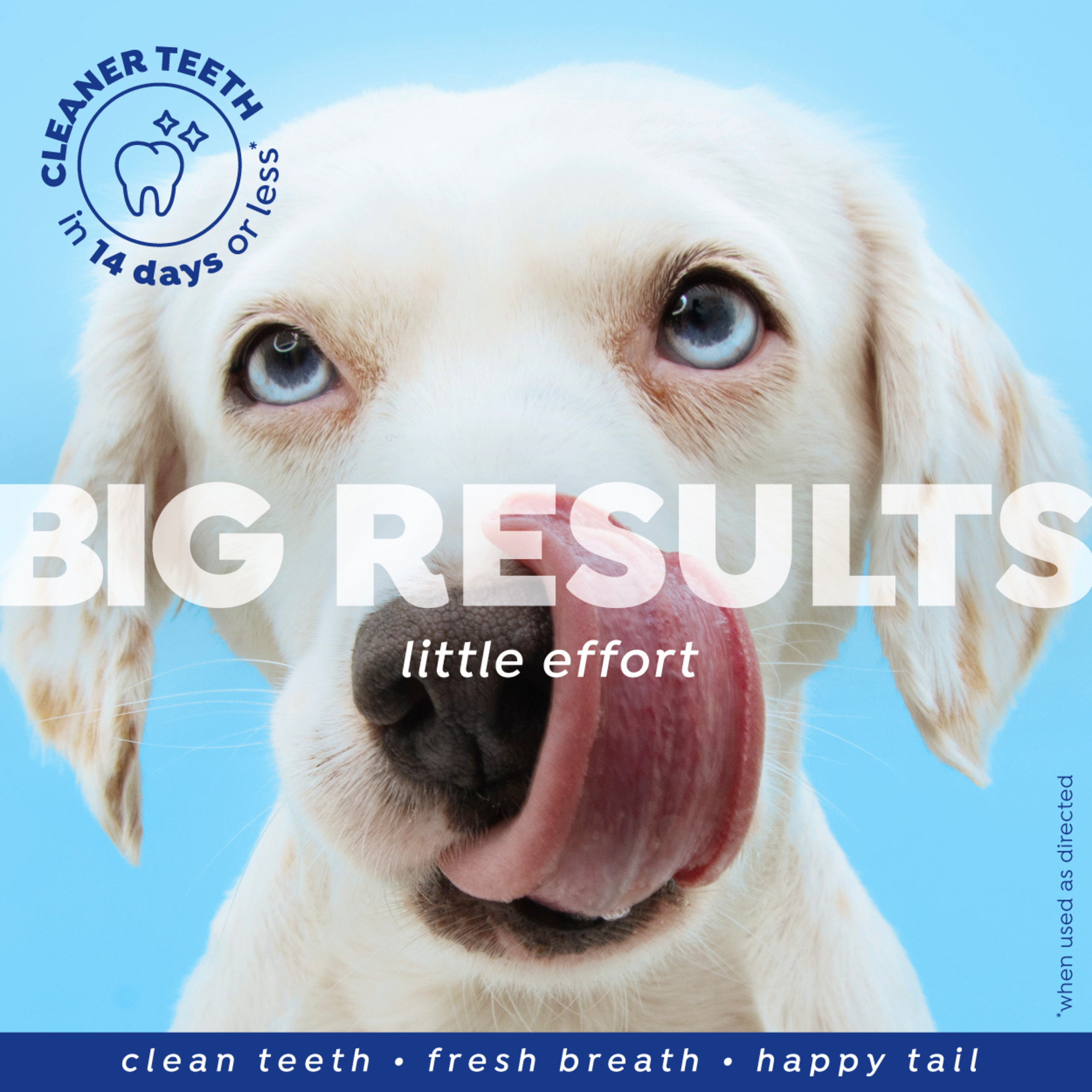 Water Additive for Dogs