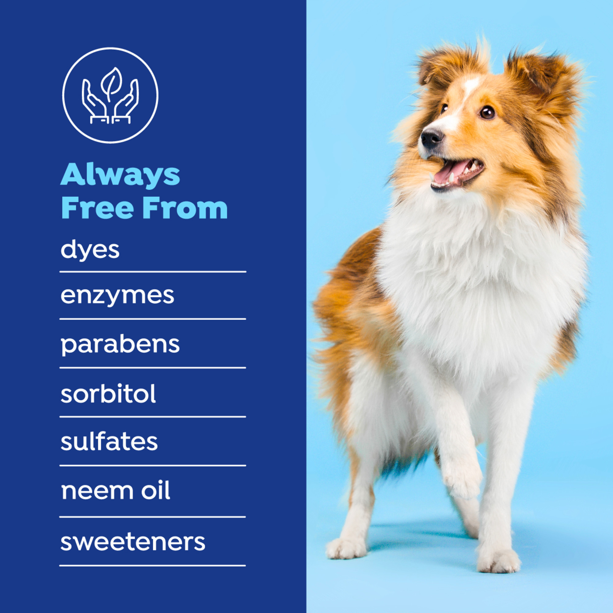 Water Additive for Dogs