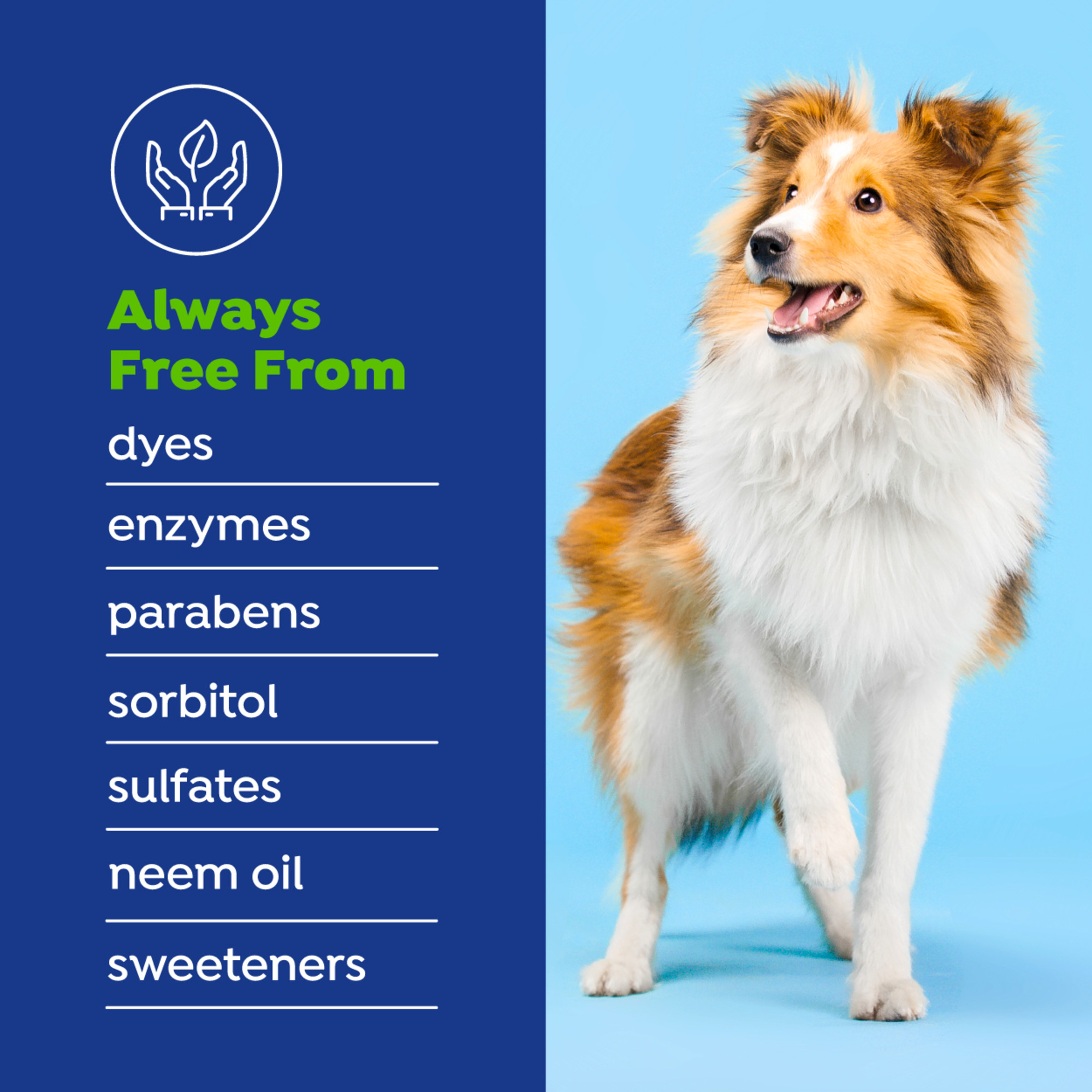 Water Additive Plus Hip & Joint for Dogs